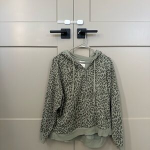 American Eagle Outfitters Soft Green Hoodie